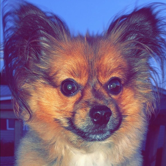 Meet your Posher, Brooke - Picture 7 of 7